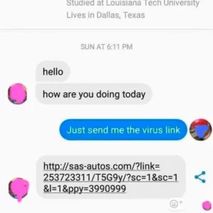 Chat screenshot with a reply to a scammer saying 'just send me the virus link' and the scammer replying with the link